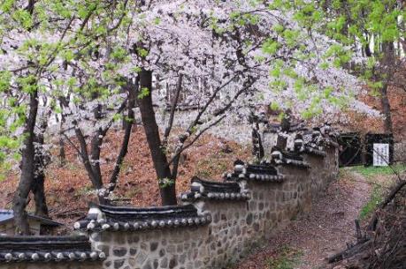 Năm điểm đến không thể bỏ qua khi khám phá Cheongju, Hàn Quốc