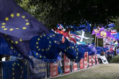 Đàm phán Brexit có thể bị trì hoãn do COVID-19