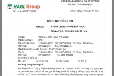 Hoàng Anh Gia Lai giải thể một công ty con