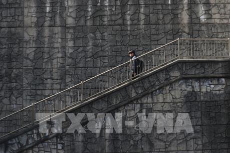 Hàn Quốc: Các tour du lịch ăn theo "Parasite" và Bong Joon-ho