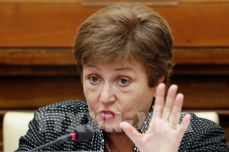 IMF kêu gọi các nước hợp tác ứng phó với dịch do virus Corona mới