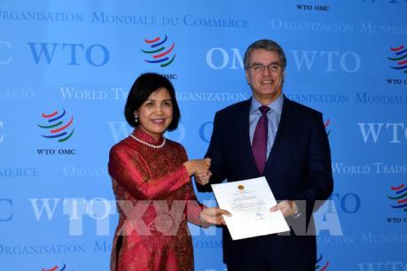 Việt Nam cam kết phối hợp tích cực, chặt chẽ với WTO