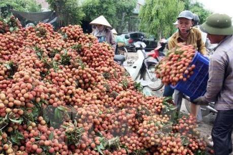 Bắc Giang lựa chọn, phát triển nhiều sản phẩm OCOP