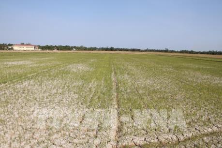 Bến Tre đề xuất hỗ trợ trên 1.150 tỷ đồng ứng phó hạn mặn