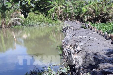 Hạn mặn ở Đồng bằng sông Cửu Long - Bài 2: Xây dựng kịch bản ứng phó