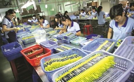 TLG tạm ứng cổ tức đợt 2