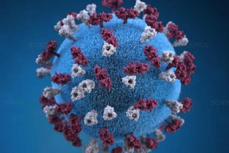 Mô hình 3D cấu trúc nguyên tử của nhóm virus gây bệnh truyền nhiễm