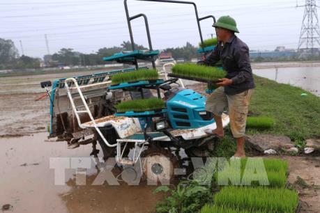 Còn khoảng 4.500 ha chưa đủ nước để gieo cấy vụ Đông Xuân