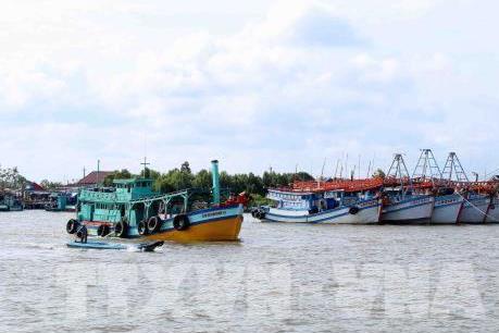 Đà Nẵng sẽ hoàn thành lắp đặt thiết bị giám sát tàu cá trước ngày 15/3