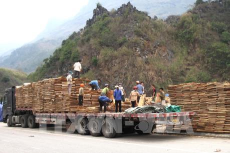 Cửa khẩu quốc tế Thanh Thủy xuất những lô hàng đầu tiên năm 2020