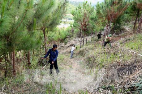Nhiều biện pháp cấp bách phòng cháy, chữa cháy rừng