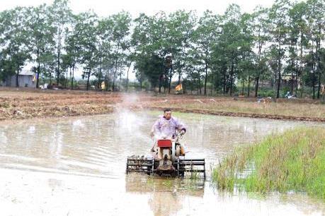 Khu vực Trung du và Đồng bằng Bắc bộ đã lấy nước phục vụ gieo cấy đạt kế hoạch