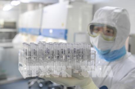 Dịch COVID-19: Khi thế giới cần niềm tin và sự lạc quan 