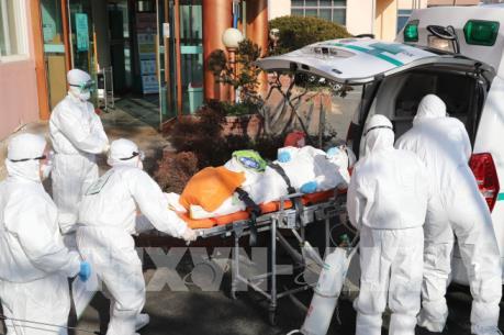 Hàn Quốc: Hơn 50% ca nhiễm COVID-19 liên quan đến giáo phái Shincheonji