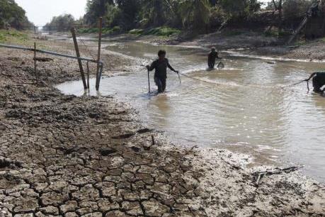 Thái Lan hỗ trợ 98 triệu USD cho nông dân bị ảnh hưởng hạn hán kéo dài