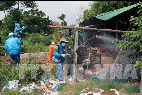 Hải Phòng xuất hiện dịch cúm gia cầm A/H5N6