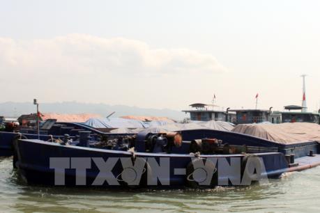 Tạm giữ gần 6.000 tấn than không rõ nguồn gốc