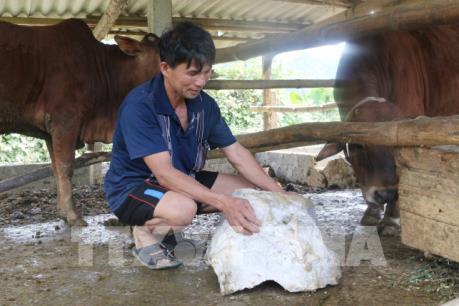 Nghệ An: Doanh nghiệp nổ mìn phá đá gây nguy hiểm cho người dân