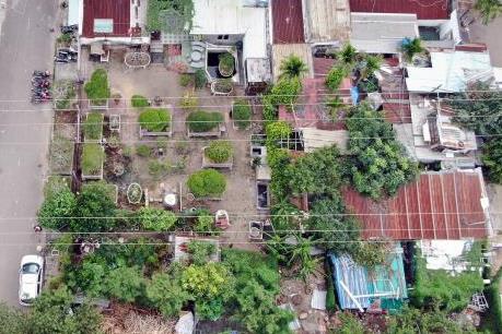 Khó xử lý vi phạm an toàn hành lang lưới điện cao áp