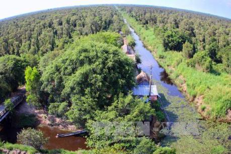 Cà Mau: Nhiều diện tích rừng ở cấp báo động cháy cao nhất