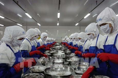 Dịch do virus Corona: Gỡ khó cho xuất khẩu lao động 