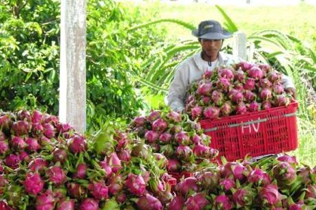 Dịch COVID-19: Giải pháp hữu hiệu cho tiêu thụ nông sản