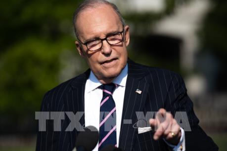 Cố vấn Nhà Trắng Trắng: Dịch COVID-19 sẽ không nhấn chìm kinh tế Mỹ