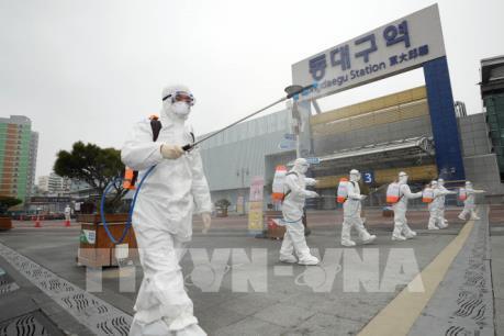 Dịch COVID-19: Hàn Quốc sẽ có thêm nhiều ca nhiễm SARS-CoV-2 tại Daegu 