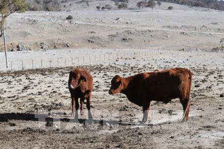 Mùa hè ở Australia dài hơn do ảnh hưởng của biến đổi khí hậu