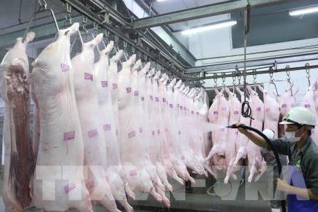 Giá lợn tại Tp. Hồ Chí Minh thấp hơn miền Bắc