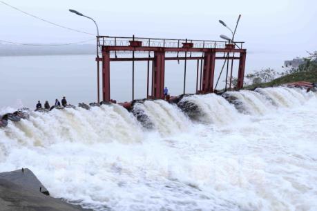 Nhiều giải pháp tăng hiệu quả lấy nước vụ Đông Xuân