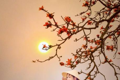 Tháng ba hoa gạo nở