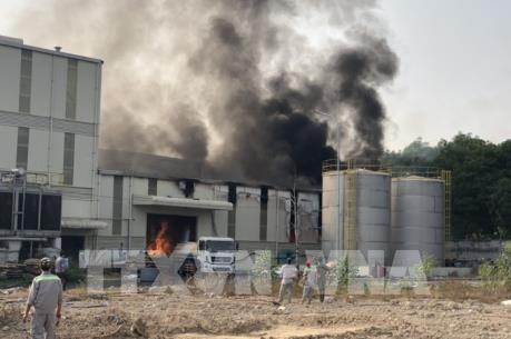 Bình Phước: Cháy lớn trong khu công nghiệp Nam Đồng Phú