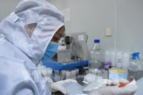 Dịch COVID-19: Trung Quốc cấp phép sử dụng cho 12 bộ xét nghiệm mới 