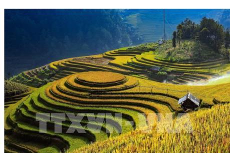Sắp diễn ra Lễ hội khám phá danh lam thắng cảnh Ruộng bậc thang Mù Cang Chải