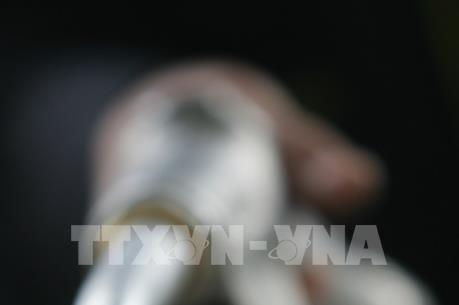 Giá dầu châu Á tăng trong phiên giao dịch đầu tuần 13/4