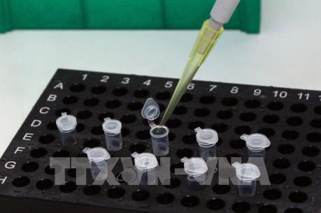 TP.HCM: Đã có kết quả 20 trường hợp đi cùng chuyến bay với ca nhiễm SARS-CoV-2 thứ 17