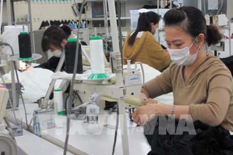 Dịch Covid-19: Việt Nam phối hợp chặt chẽ với Nhật Bản bảo vệ thực tập sinh