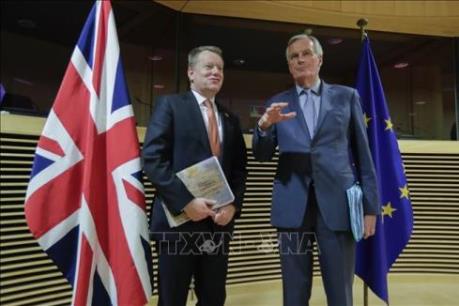 Đàm phán Brexit tạm hoãn do có thành viên mắc COVID-19