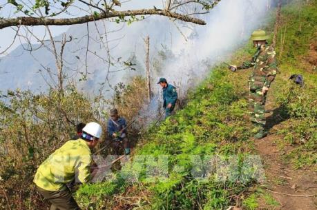 Lào Cai khống chế nhanh nhiều điểm cháy giáp ranh rừng