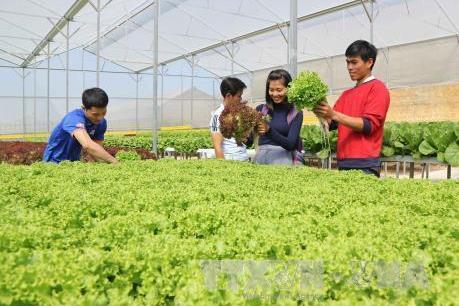 Thành lập Khu nông nghiệp ứng dụng công nghệ cao Thái Nguyên