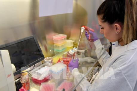 Bỉ phát triển kháng thể có khả năng vô hiệu hóa virus SARS-CoV-2