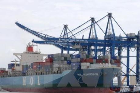 Tàu biển bị ảnh hưởng bởi dịch COVID-19 có thể được hoãn đăng kiểm