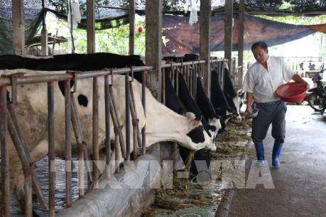 Đưa bảo hiểm nông nghiệp đến gần người dân