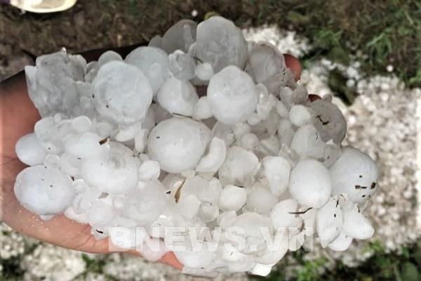 Mưa dông kèm theo mưa đá gây một số thiệt hại trên địa bàn tỉnh Lào Cai