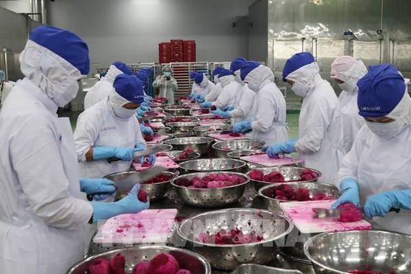Giải quyết đầu ra nông sản  - Bài 1: Doanh nghiệp thực phẩm là đầu tầu
