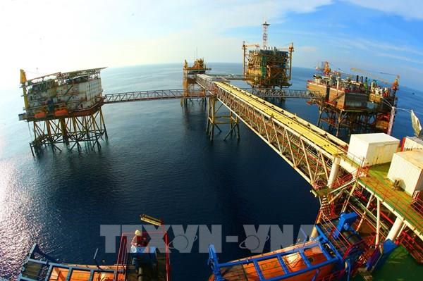 Điều chỉnh chiến lược để ngành dầu khí ứng phó với bất lợi kép do dịch COVID-19