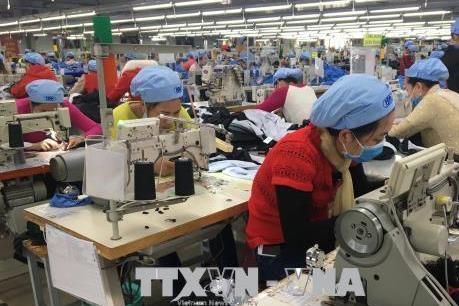 Vinatex dự kiến trả cổ tức năm 2019 trị giá 250 tỷ đồng