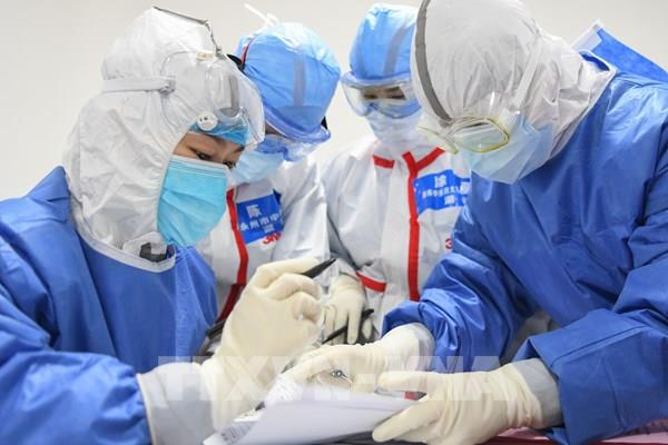 WHO: Không sử dụng thuốc chữa sốt rét để điều trị COVID-19