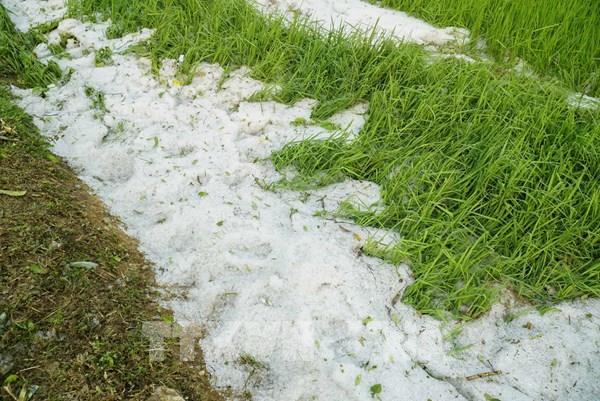 Mưa đá phủ trắng nhiều nơi ở Điện Biên